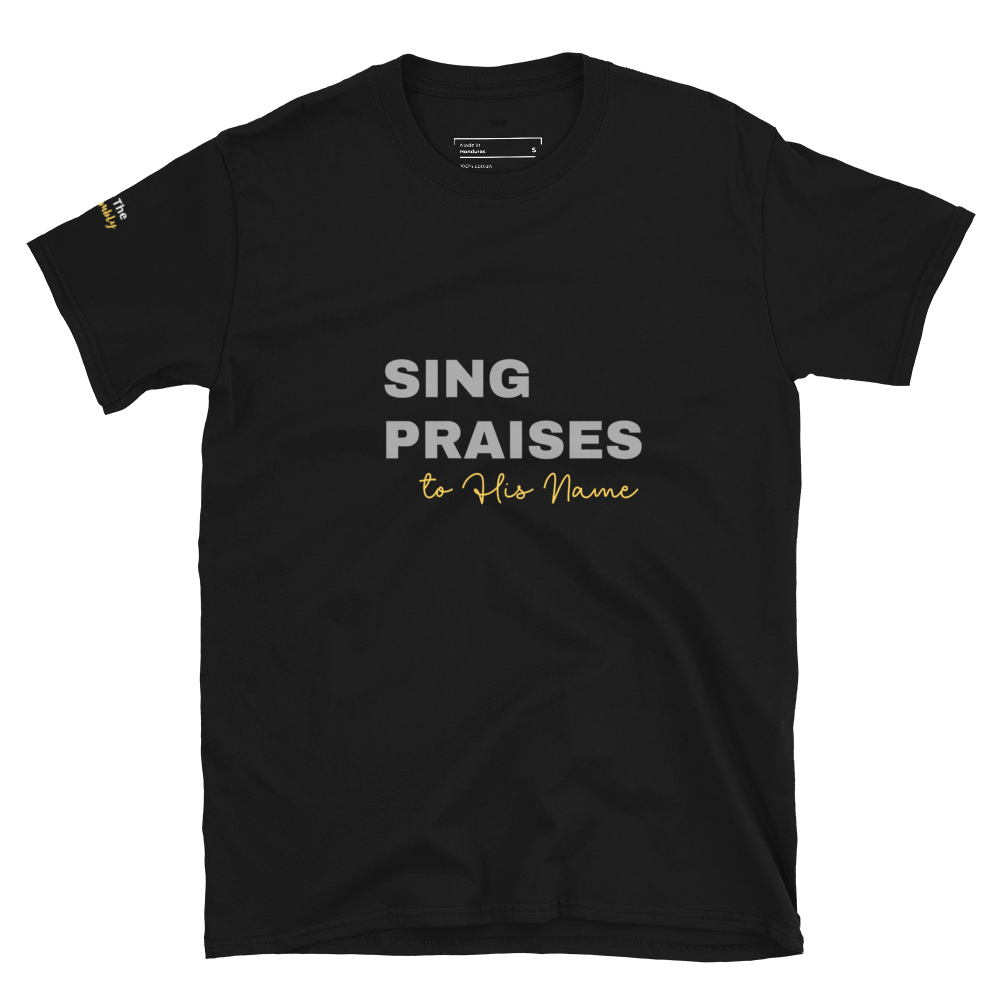 Dark Heather/Navy/Black Unisex Psalms 96:2 T-Shirt